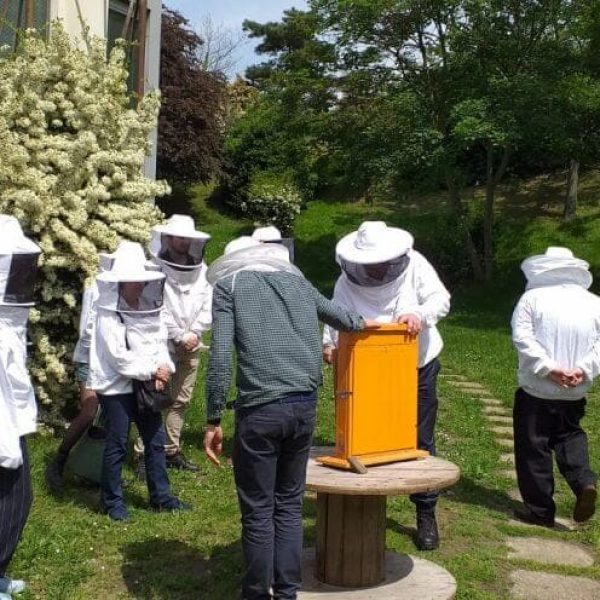 Initiation à l'apiculture sur le campus de Nanterre