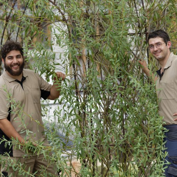 jardinier souriant - saule grimpant - hutte métallique - polo beige -