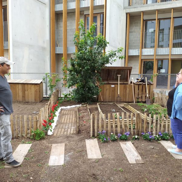 jardin partagé - fleurs - potagers - résidence