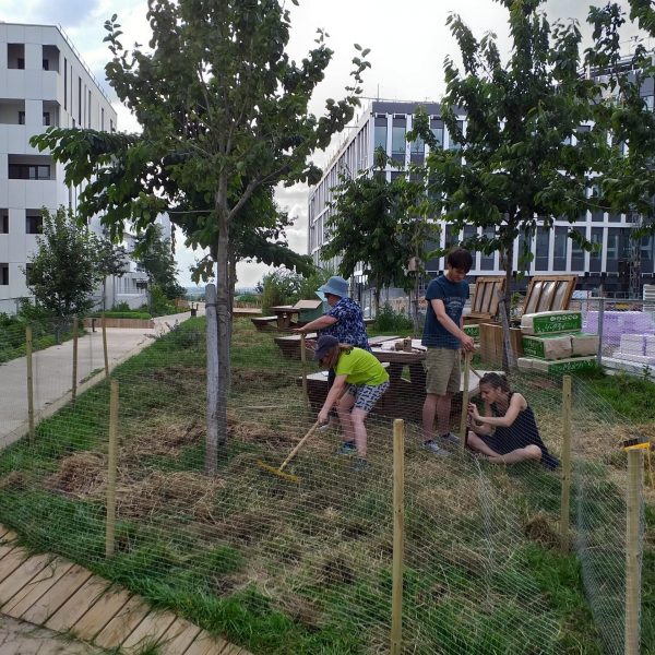 travail équipe - fabrication - enclos - lapin - extérieur - verdure