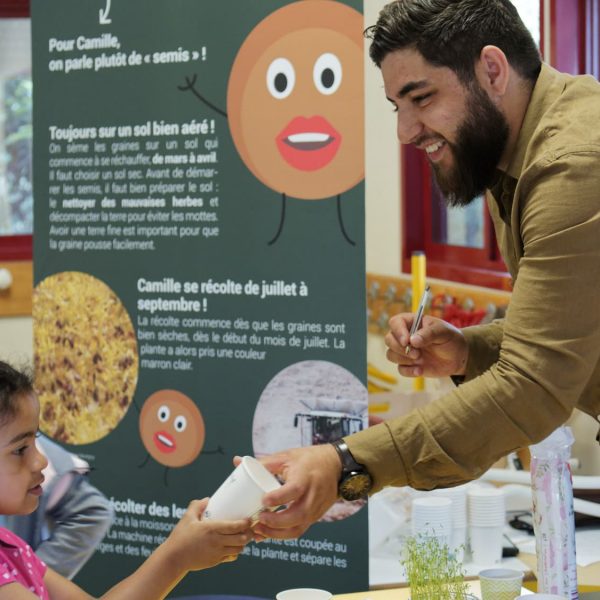 lentille - animation - plantation