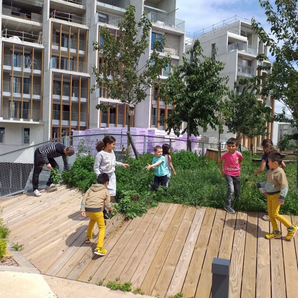 animation enfants - potager - apprentissage