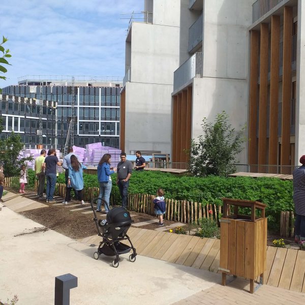 jardin partagé - potager - résidents