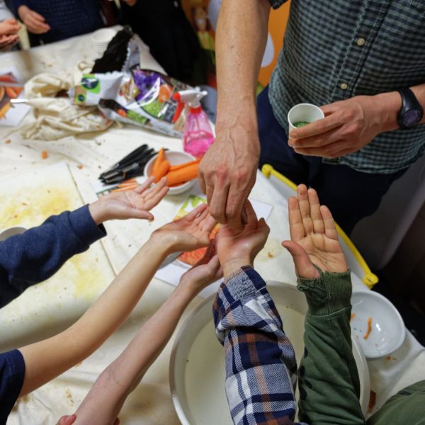 plantation graines - carottes - terreau