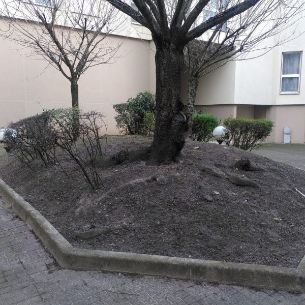 morne, espace vert décrepris, sécheresse, triste, sombre, désolant