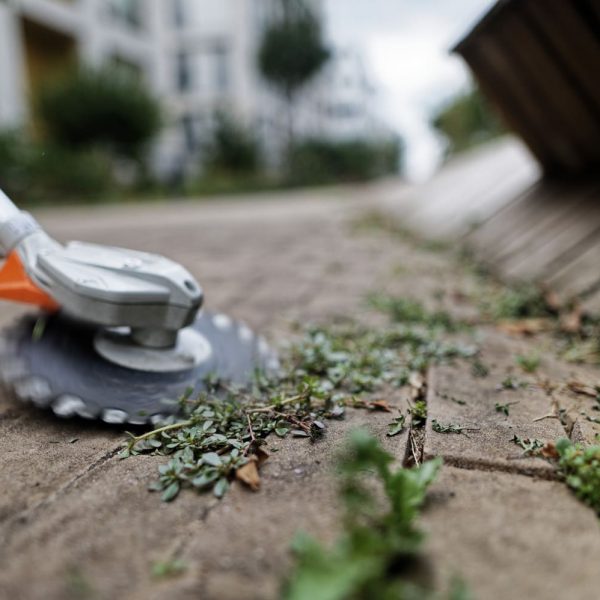 outils de jardin à batterie- batterie AP300- batterie AP300S- résidence- mauvaise herbes- mousse