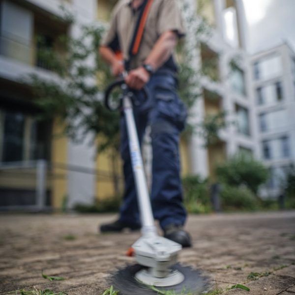 outils de jardin à batterie- batterie AP300- batterie AP300S- résidence- mauvaise herbes- mousse