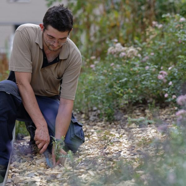 Désherbage manuel - désherbage à la main - finition - espaces verts - entretien- coproprieté- résidence