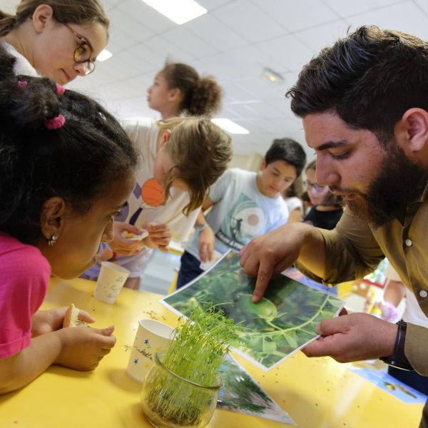 lentilles - enfants - sensibilisation