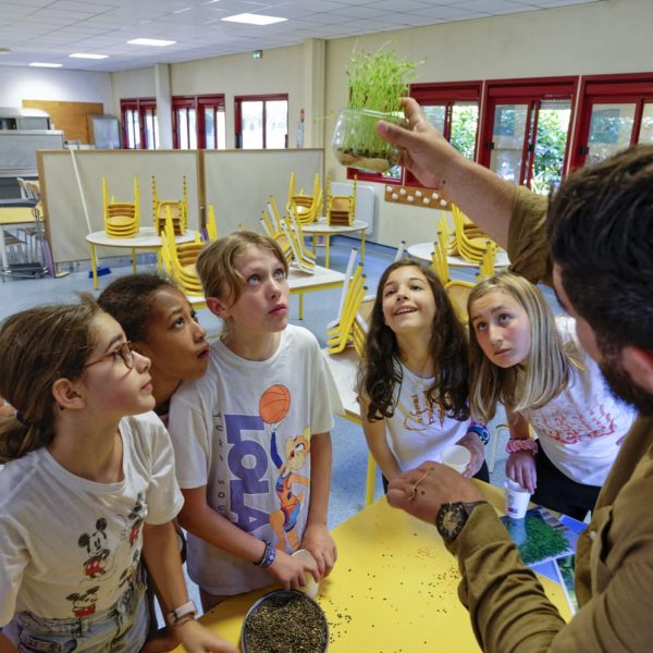 enfants attentifs - pousse lentilles - pot en verre