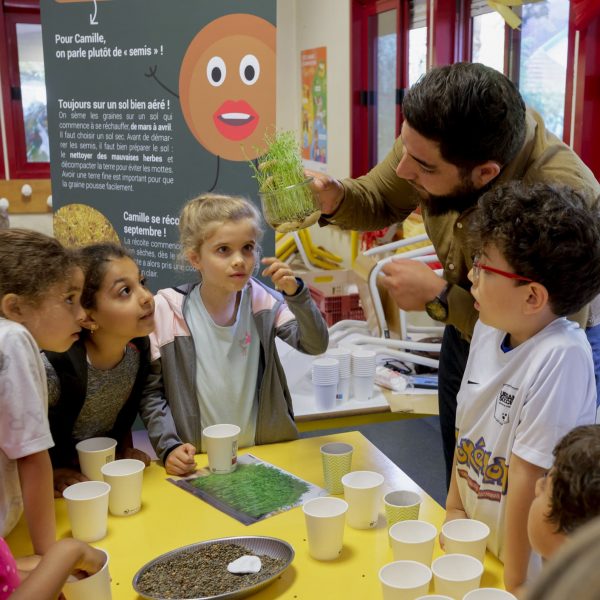 enfants fascinés - pousse de lentilles