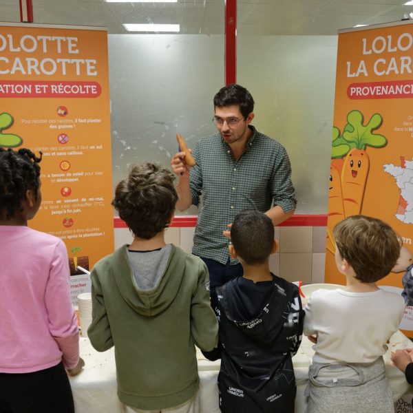 animation carotte - plantation - récolte - provenance - prix