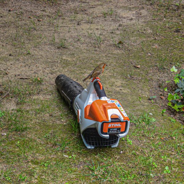 souffleurs stihl - batterie AP300 - Rouge gorge - oiseaux- nature - jardinage - biodiversité