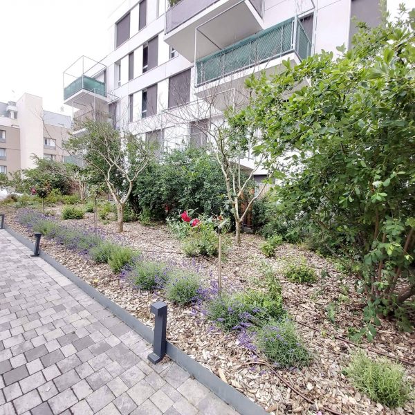 Lavandes , romarin - rosiers sur tige, luminaires extérieures, bornes d'éclairage, bordure de jardin, résidence