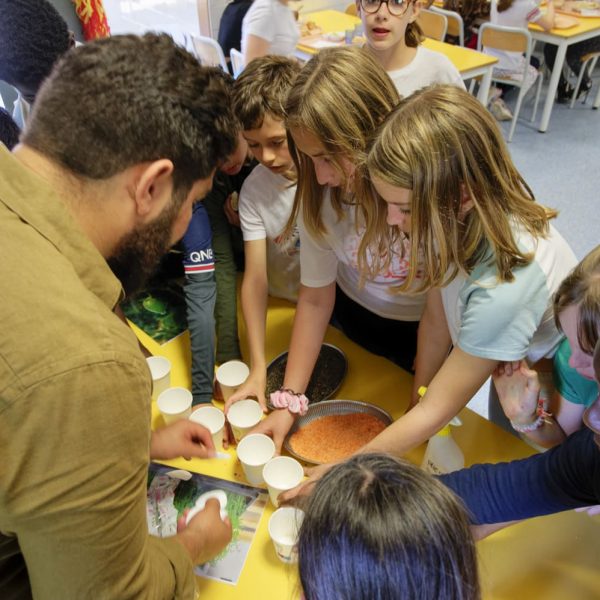jeunes enfants - lentilles - plantation