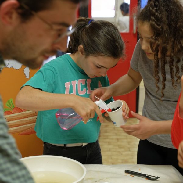 plantation - graines carottes - arrosage