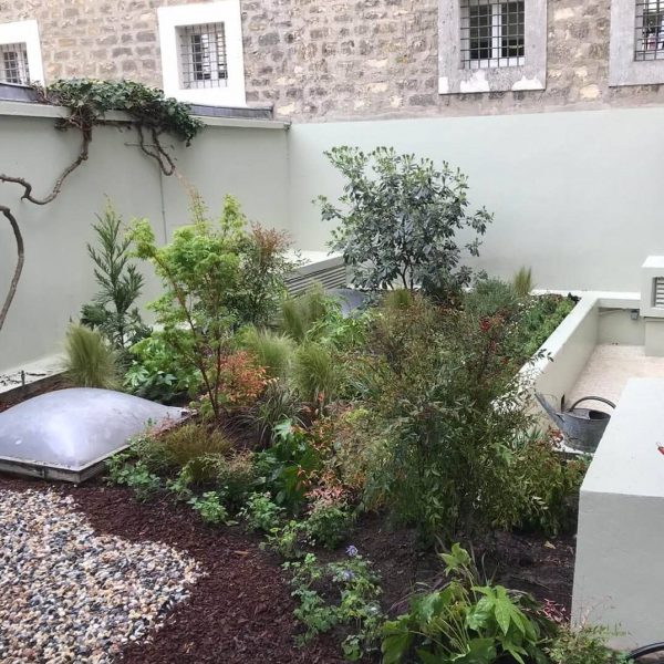 massifs - plantes - fleurs - terrasse fleurit