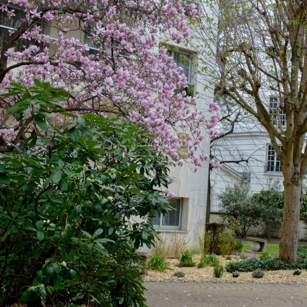 Plantation massifs apparat