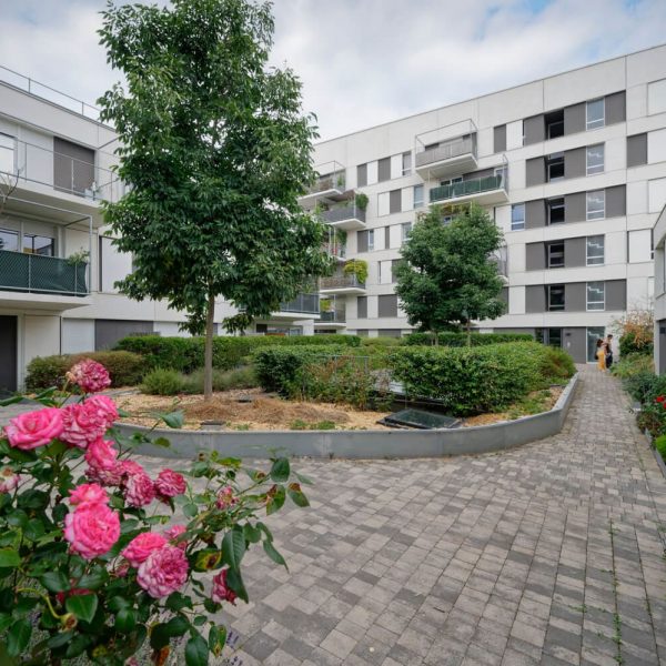 rosier - potager, Nanterre, 92000