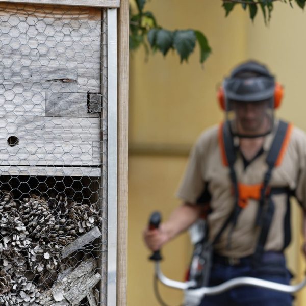 Désherbage et défrichement - Débroussailleuse stihl thermique- EPI- jardinage-Fauchage-paille-broyage