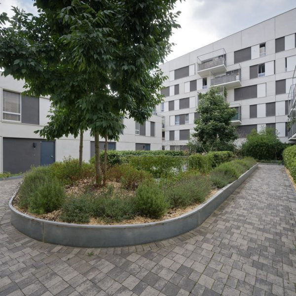 lavande - romarin - biodiversité