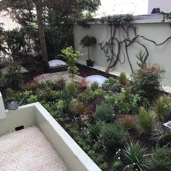 massifs - fleurs - graminées - plantes - végétaux - terrasse végétalisée