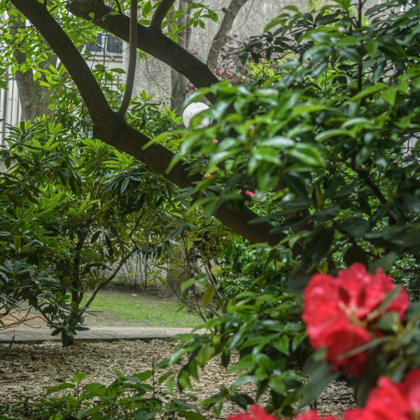 Un cocon d'espace vert