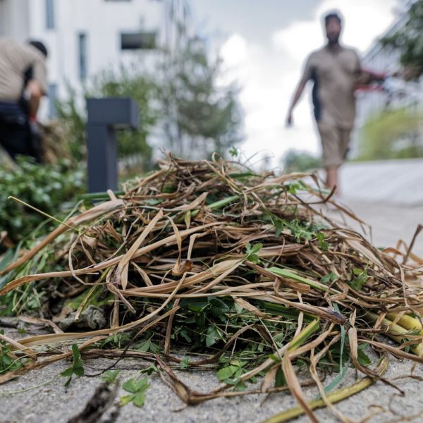 Tas déchets verts - allées de résidence- espace vert- désherbage manuel
