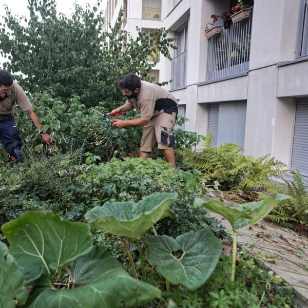 Esprit d'équipe - travail en binôme - travail d'équipe- jardiniers qui travaillent- massifs